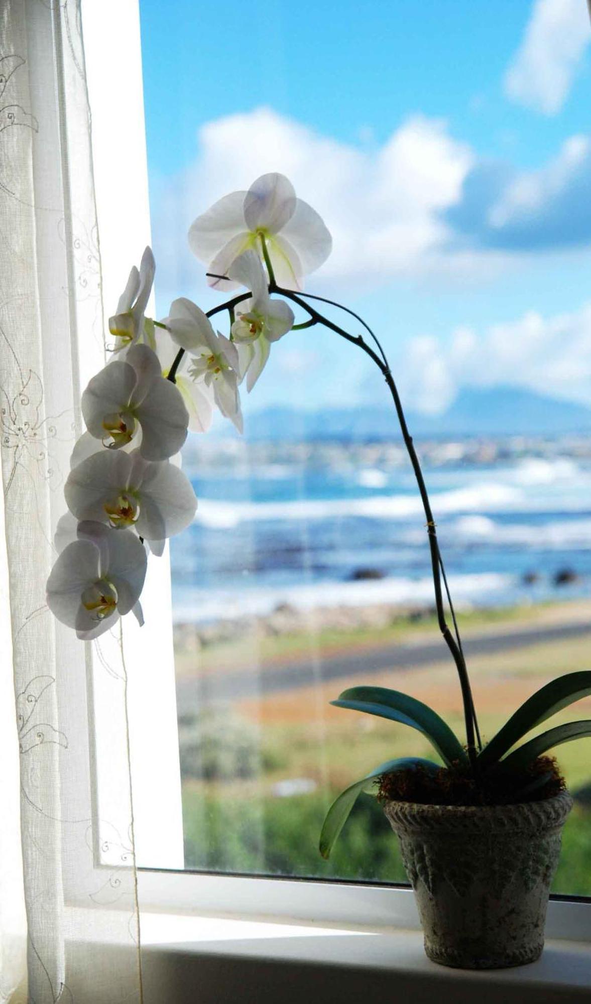 138 Marine Beachfront Guesthouse Hermanus Chambre photo